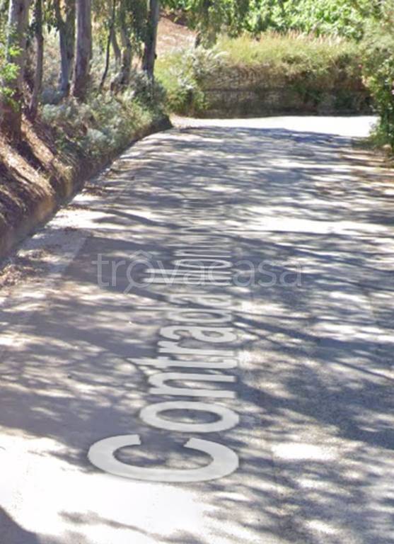 immagine annuncio 10 di 14