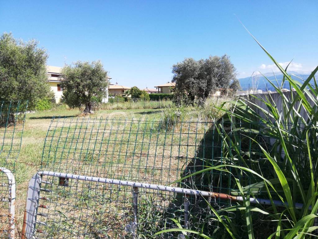 immagine annuncio 3 di 11