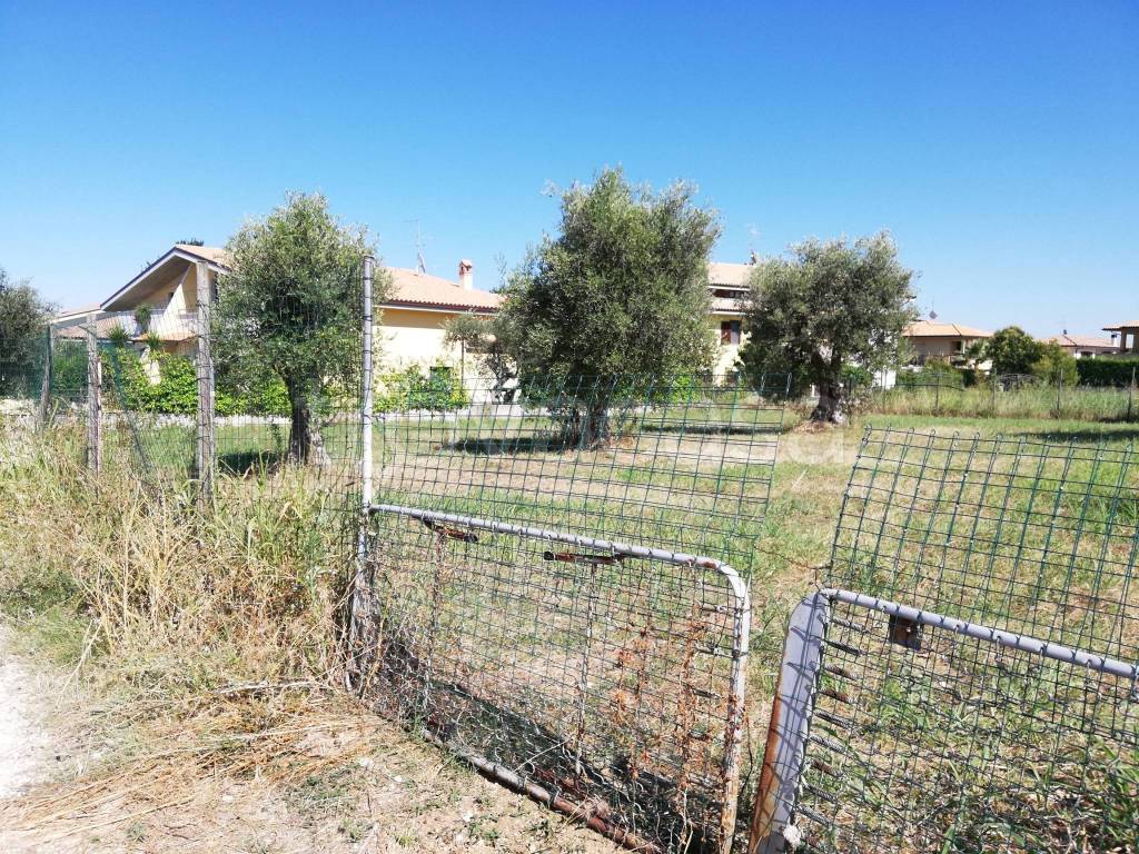 immagine annuncio 5 di 11