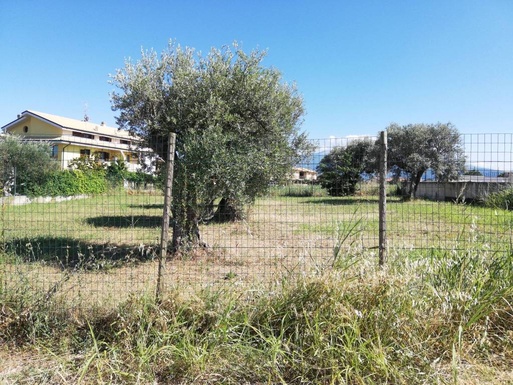 immagine annuncio 6 di 11