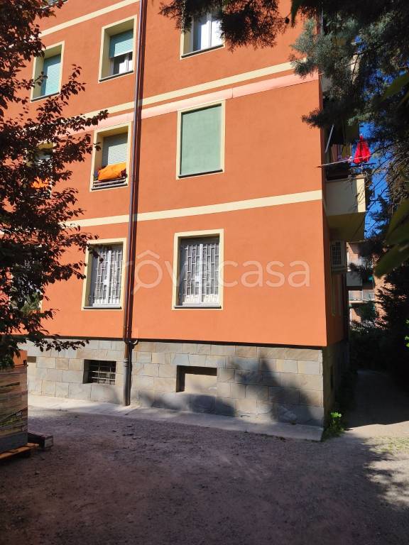 immagine annuncio 1 di 13