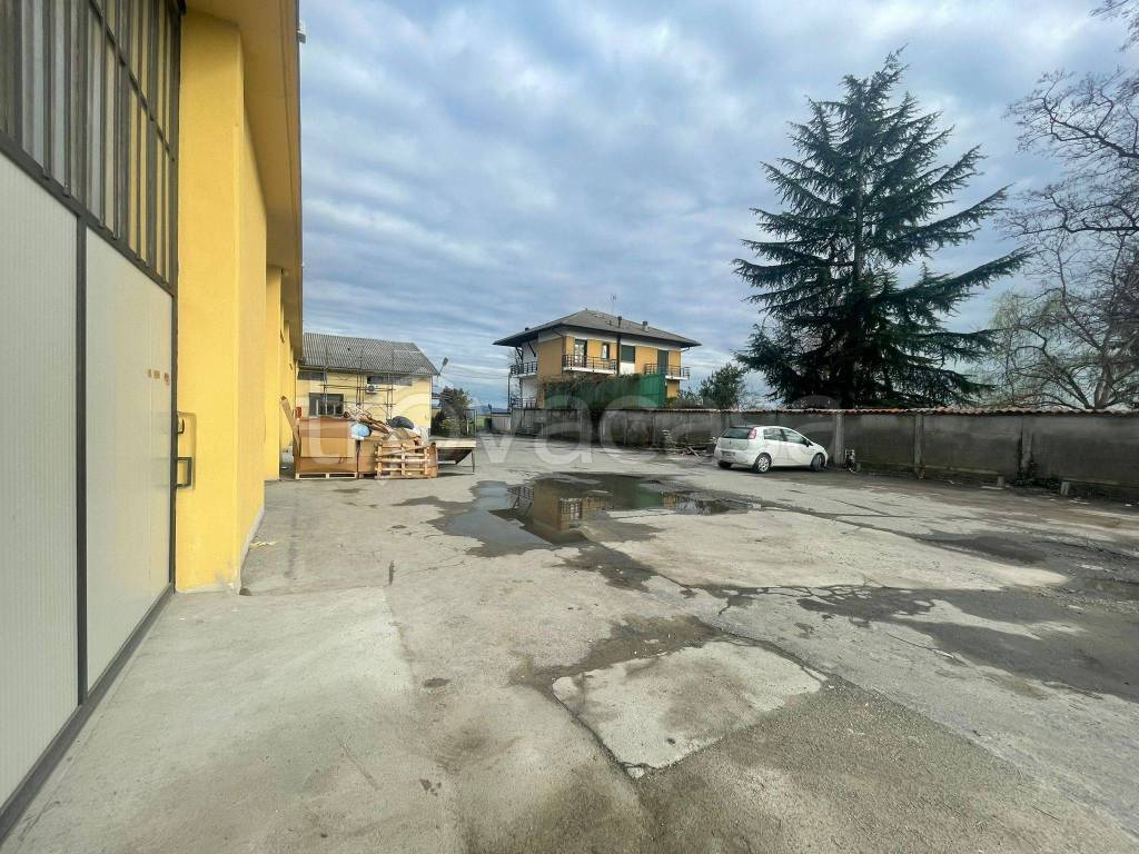 immagine annuncio 4 di 8