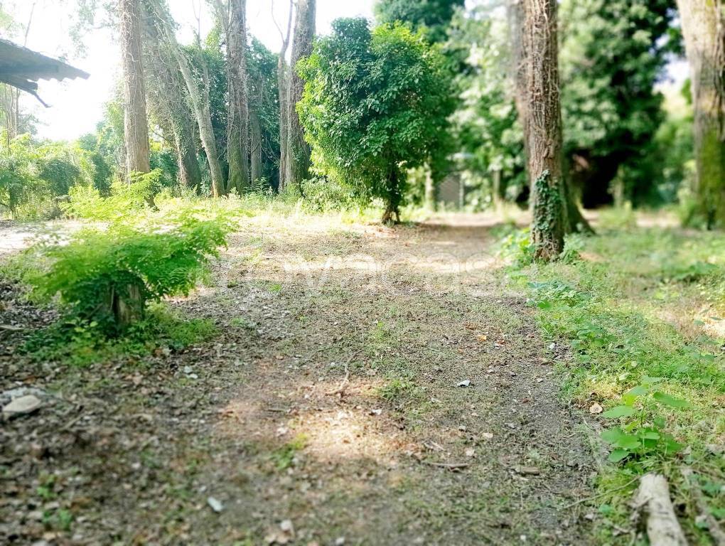 immagine annuncio 2 di 11
