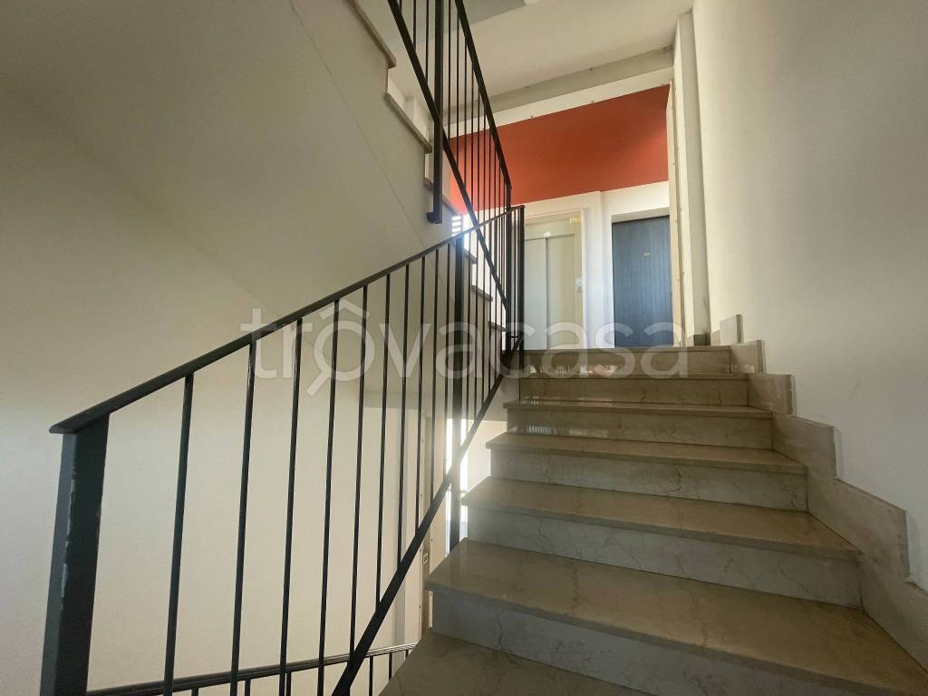 immagine annuncio 9 di 12