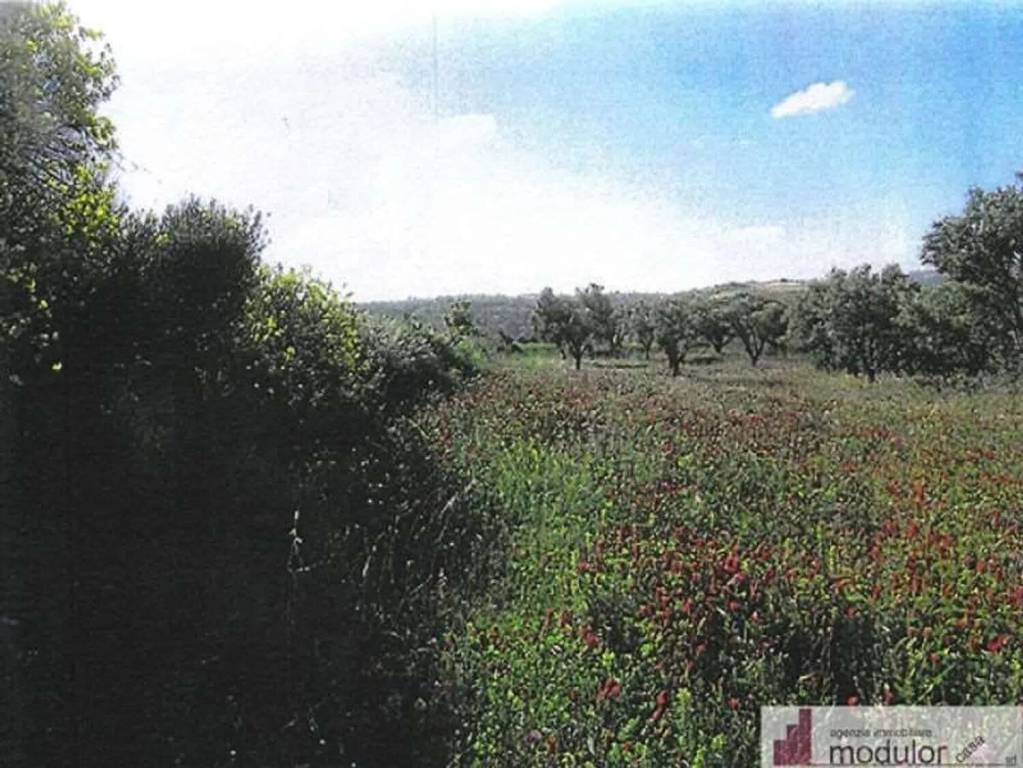 immagine annuncio 2 di 7