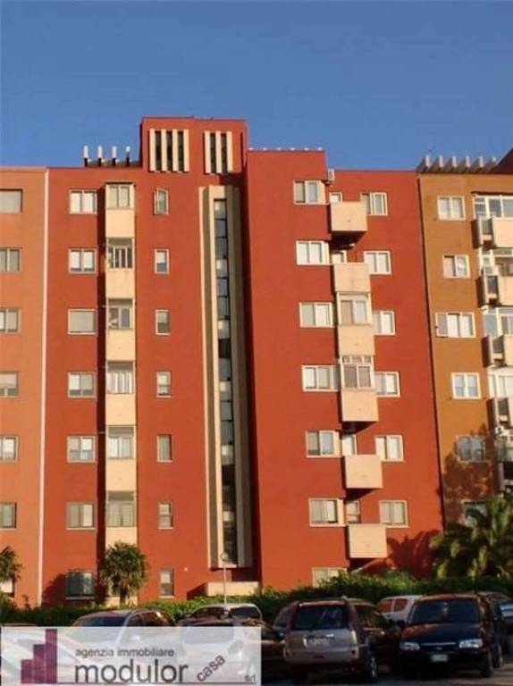 immagine annuncio 5 di 6