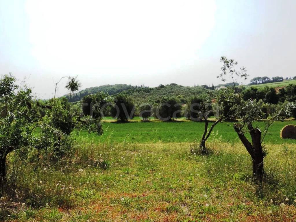 immagine annuncio 6 di 9