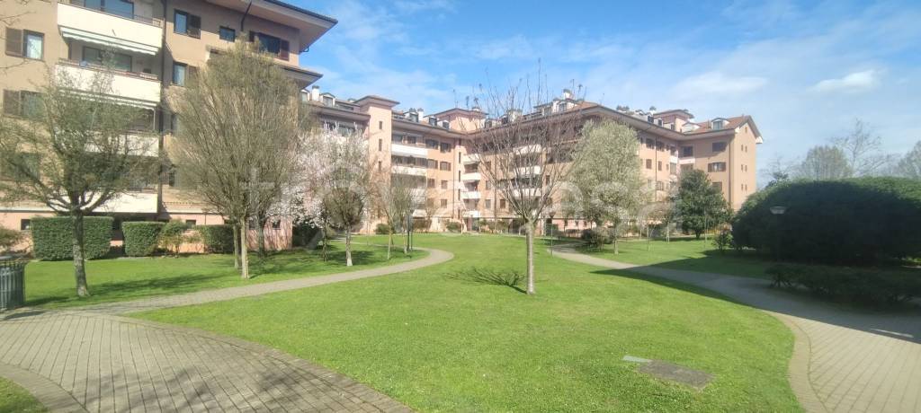 immagine annuncio 11 di 12