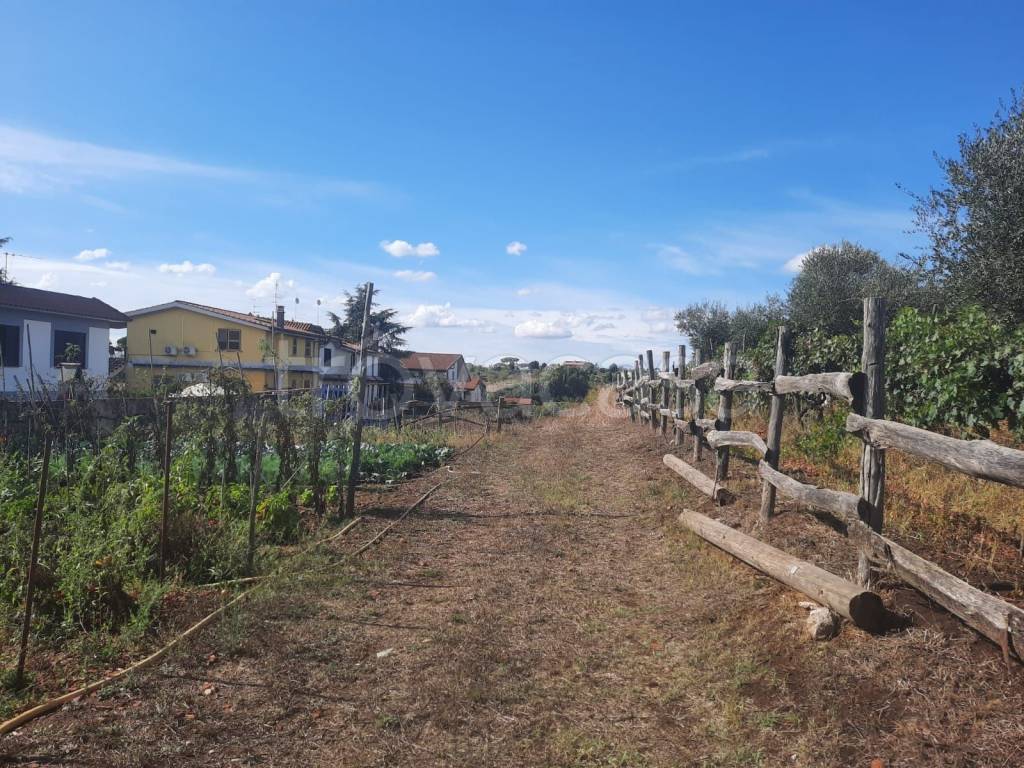 immagine annuncio 2 di 7