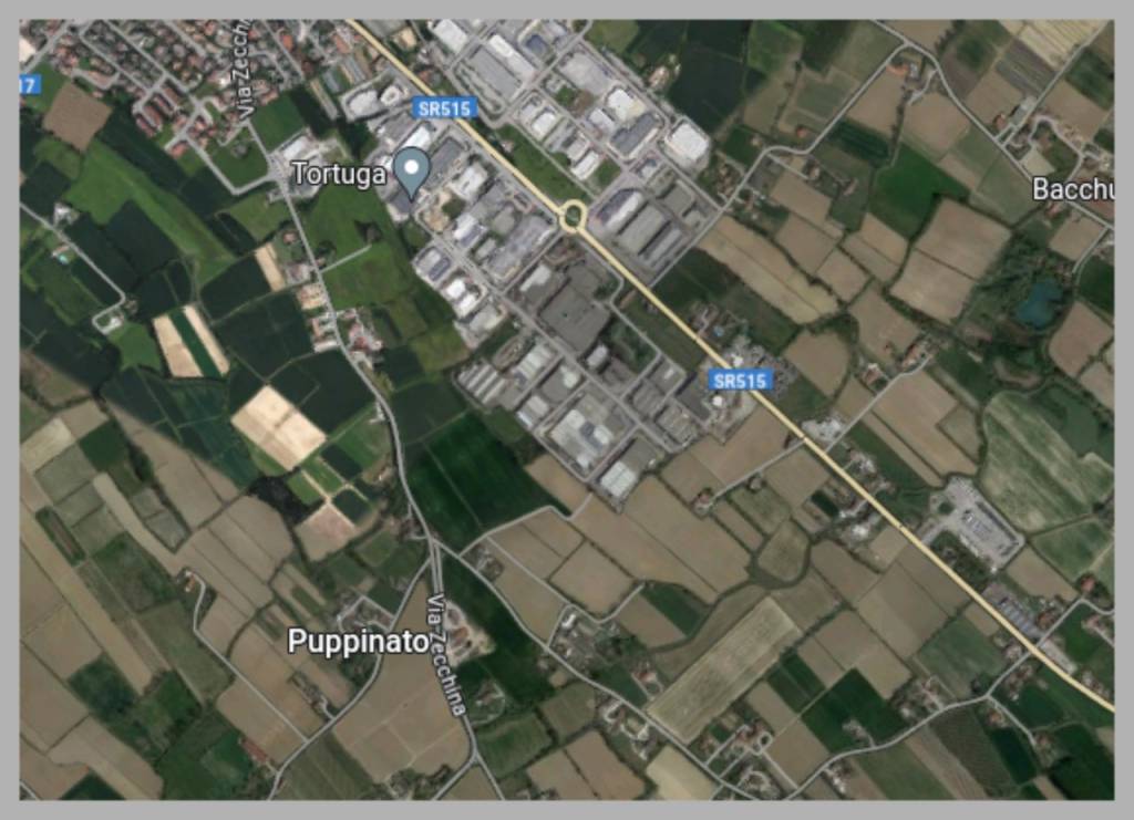immagine annuncio 6 di 15