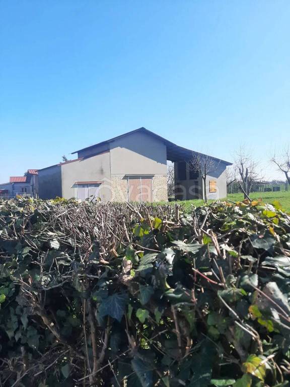 immagine annuncio 7 di 8