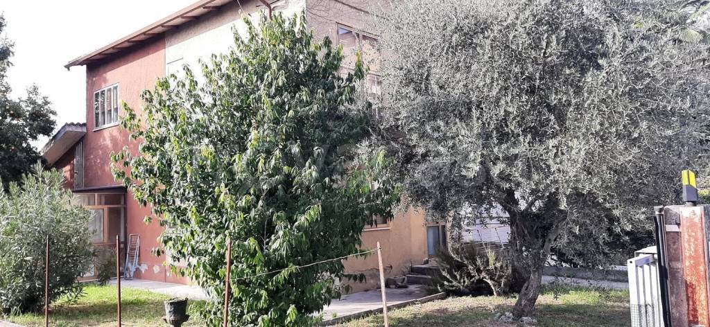 immagine annuncio 1 di 14