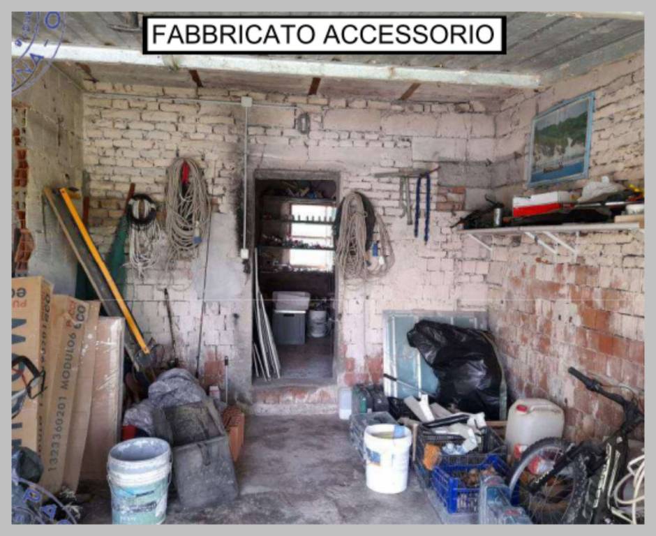 immagine annuncio 9 di 15