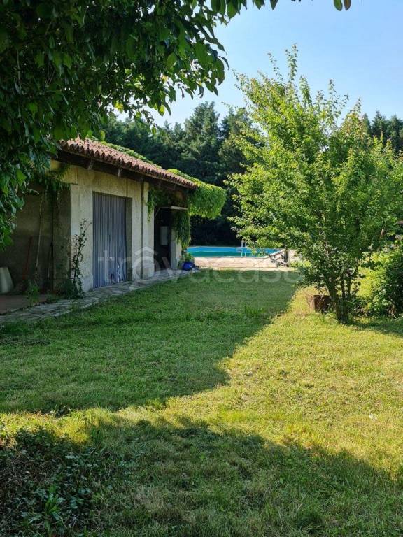 immagine annuncio 9 di 15