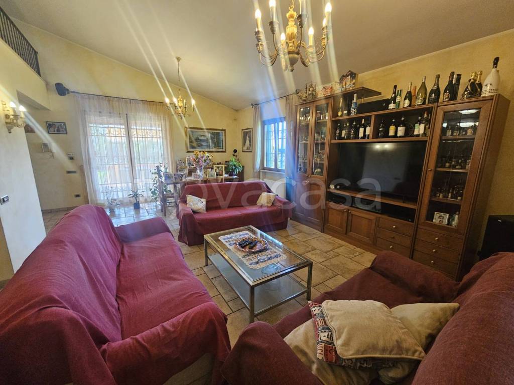 immagine annuncio 12 di 15
