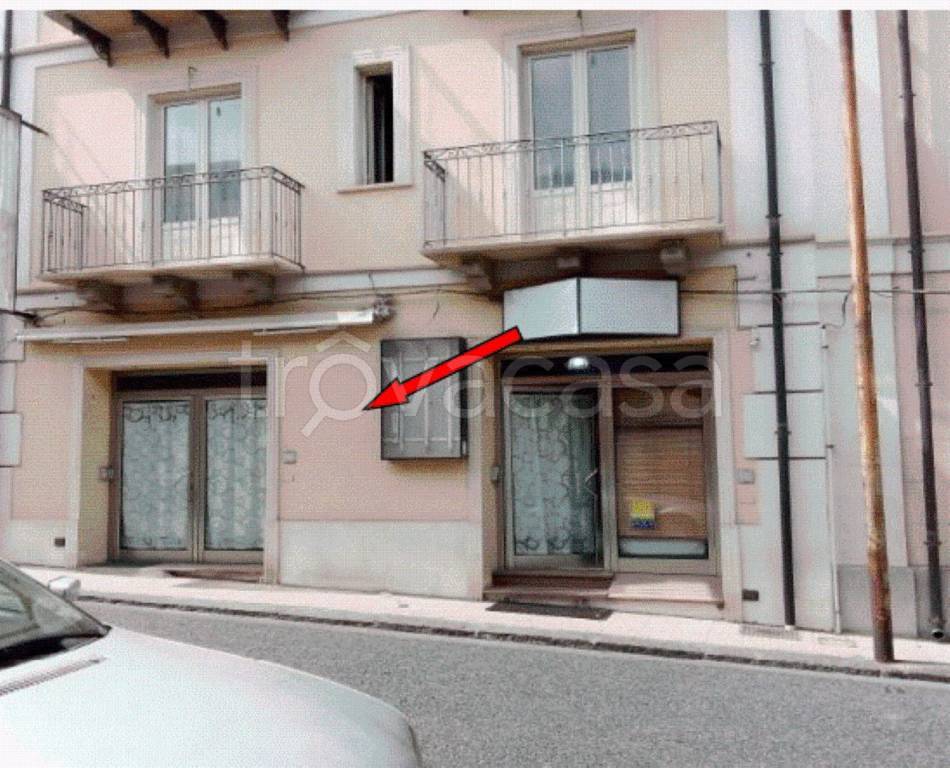 immagine annuncio 12 di 13