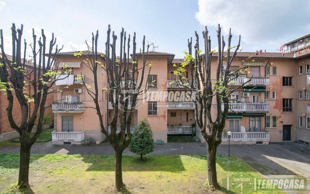 immagine annuncio 3 di 6