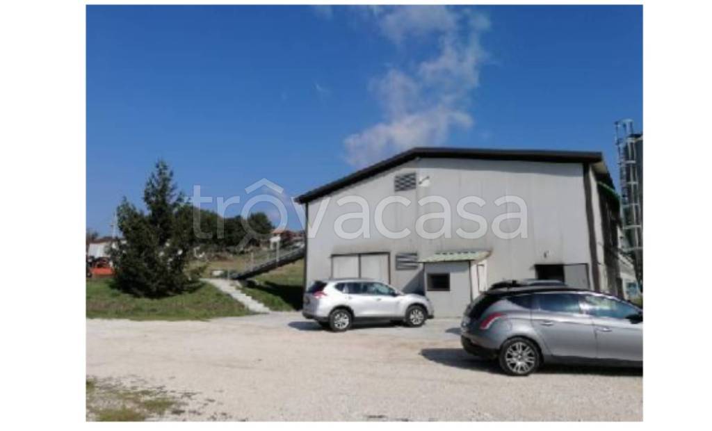 immagine annuncio 6 di 14