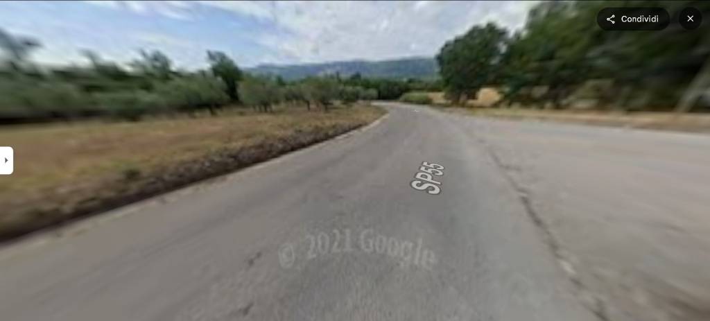 immagine annuncio 10 di 14