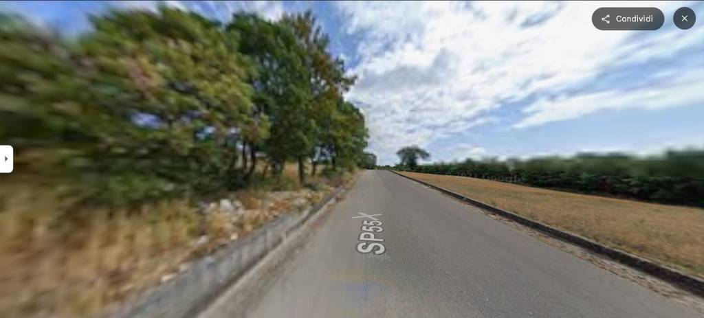 immagine annuncio 12 di 14