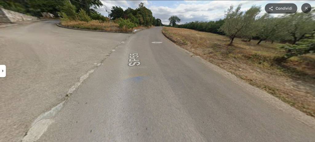 immagine annuncio 13 di 14