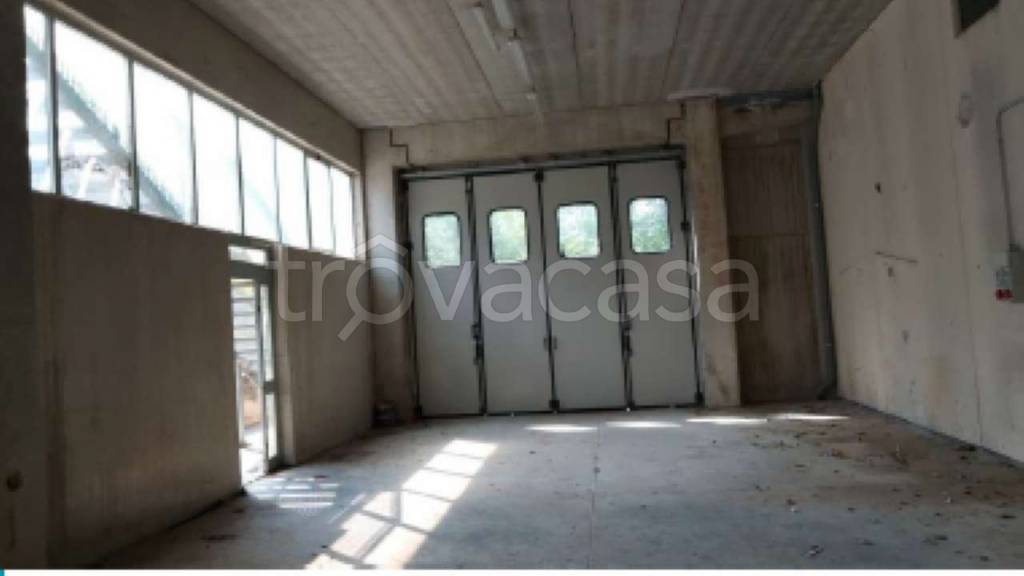 immagine annuncio 12 di 14