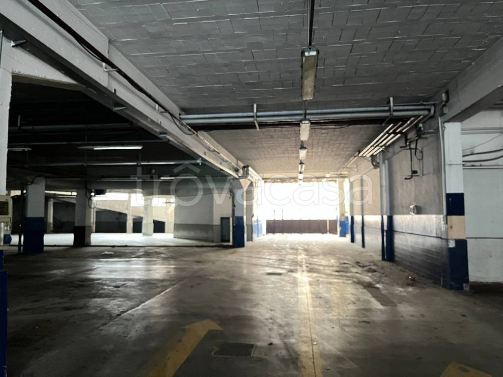 immagine annuncio 7 di 14