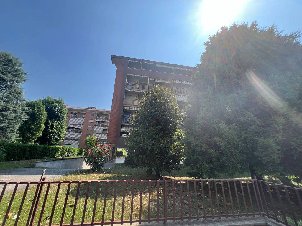 immagine annuncio 1 di 15