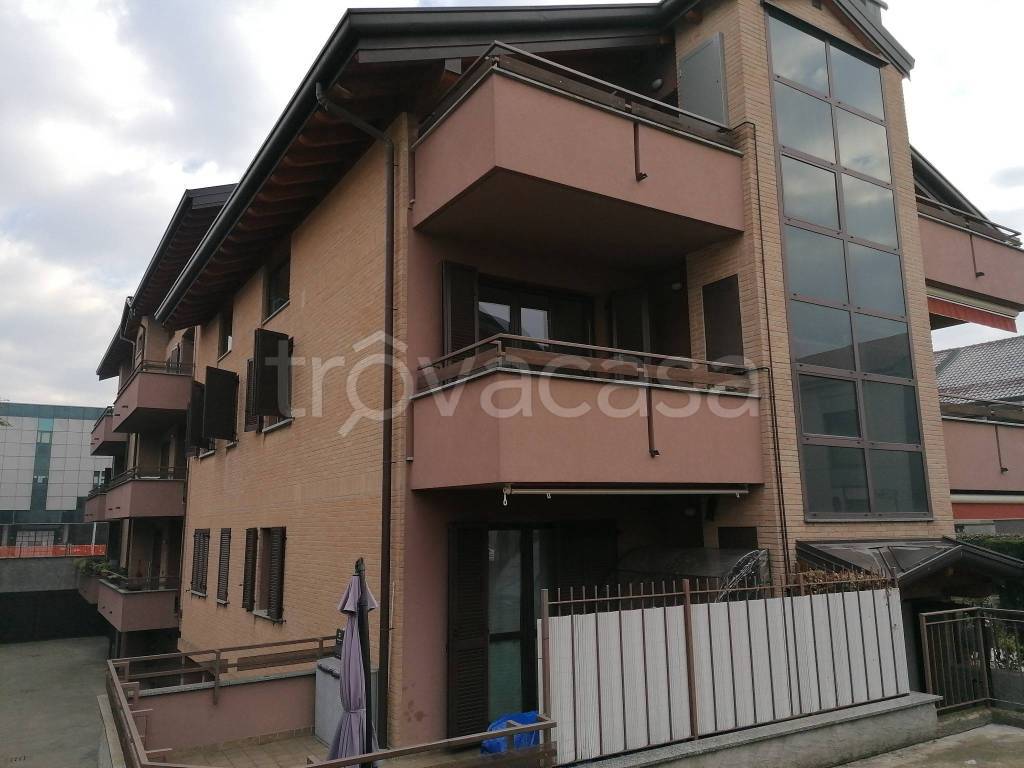 immagine annuncio 12 di 15