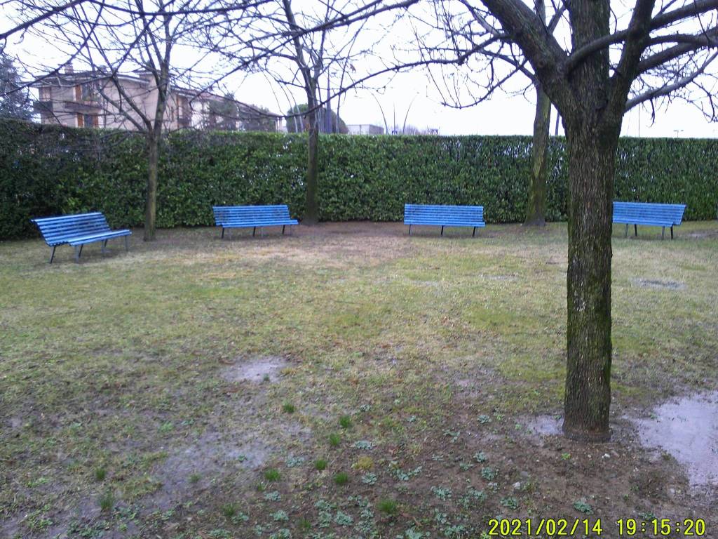immagine annuncio 4 di 15