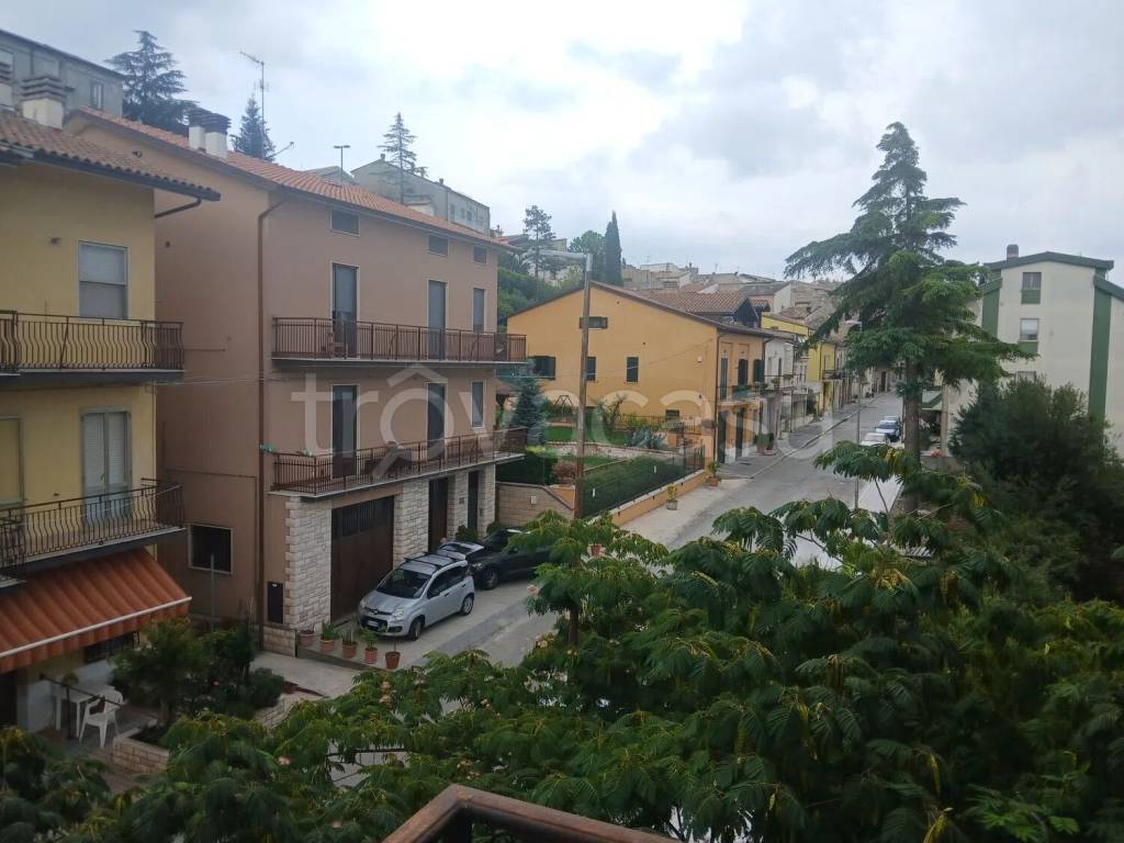 immagine annuncio 9 di 12