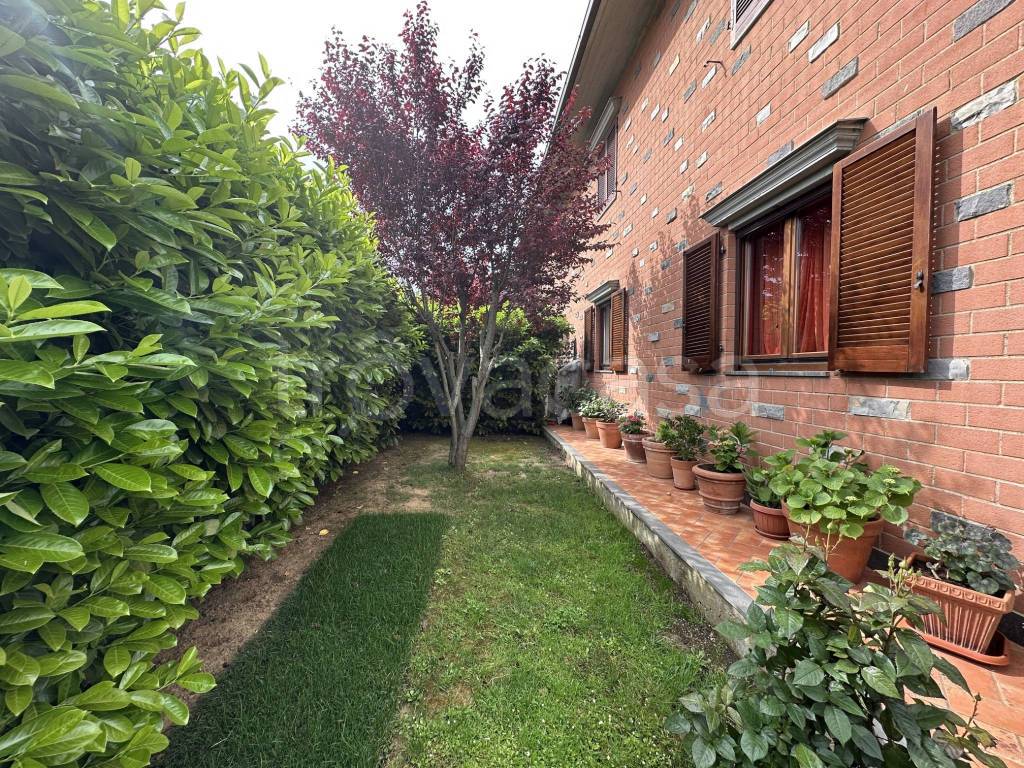 immagine annuncio 5 di 9