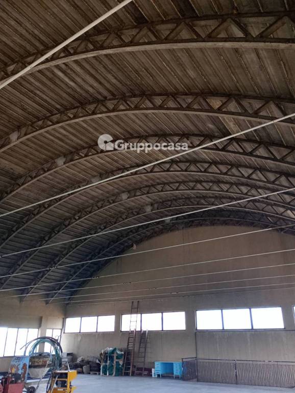 immagine annuncio 9 di 13