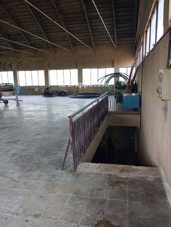 immagine annuncio 10 di 13