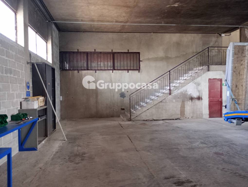 immagine annuncio 12 di 13