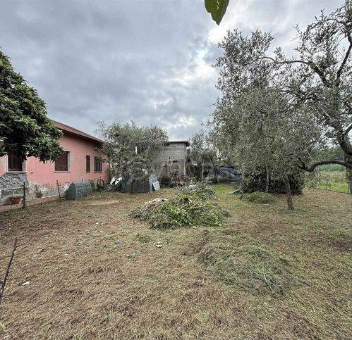 immagine annuncio 6 di 12