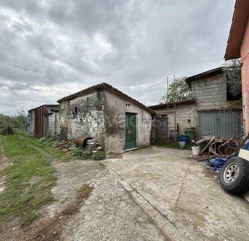 immagine annuncio 8 di 12