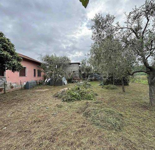 immagine annuncio 11 di 12