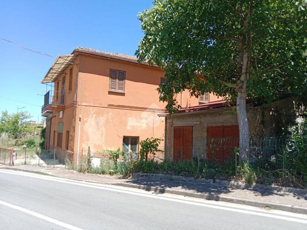 immagine annuncio 1 di 7