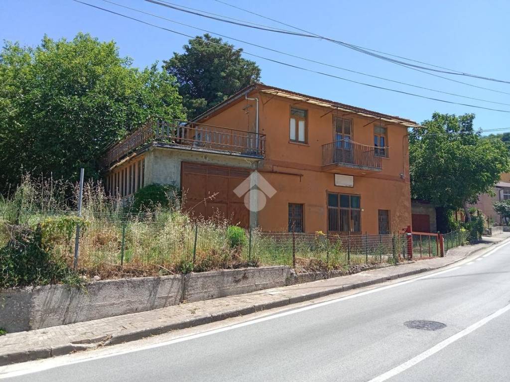 immagine annuncio 2 di 7