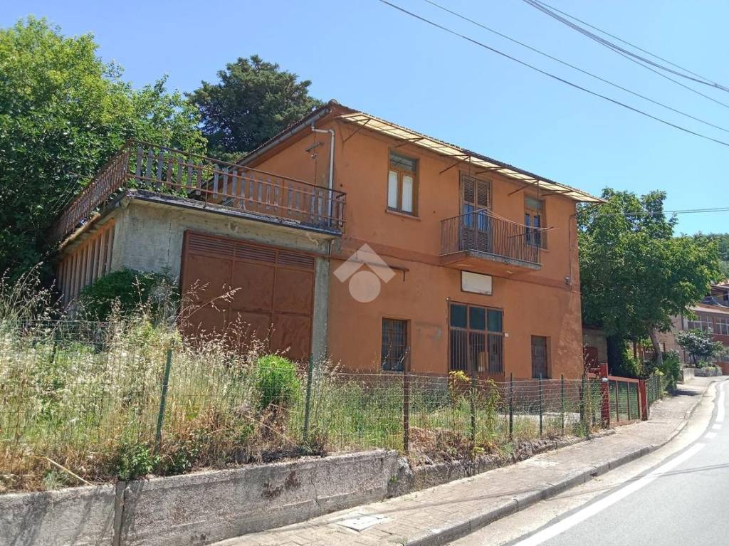 immagine annuncio 5 di 7