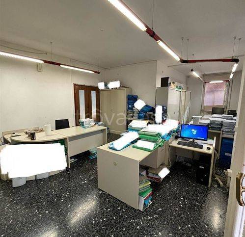 immagine annuncio 6 di 8