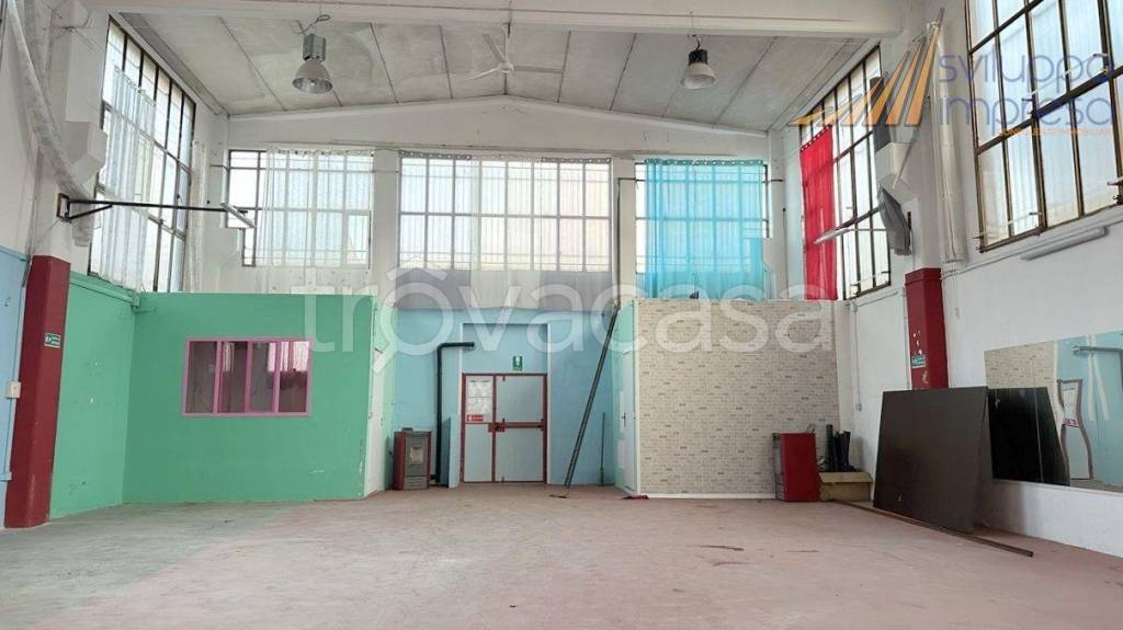 immagine annuncio 13 di 15