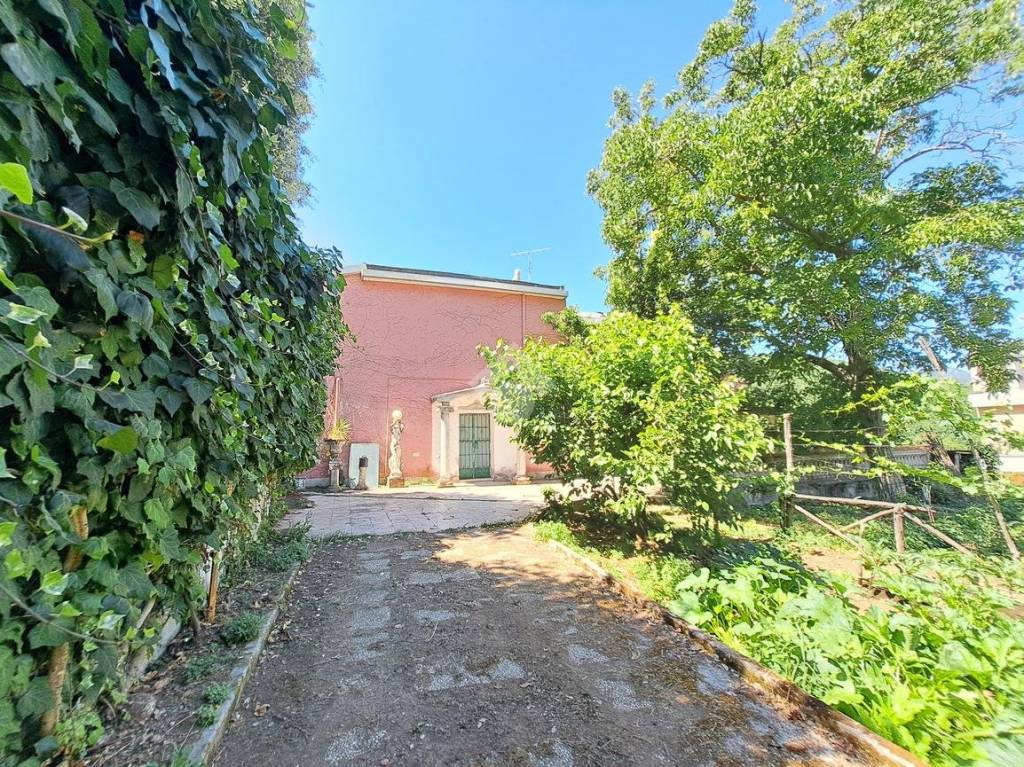 immagine annuncio 6 di 15