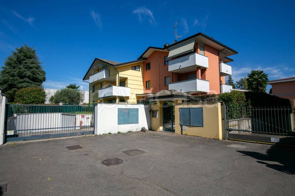 immagine annuncio 3 di 15