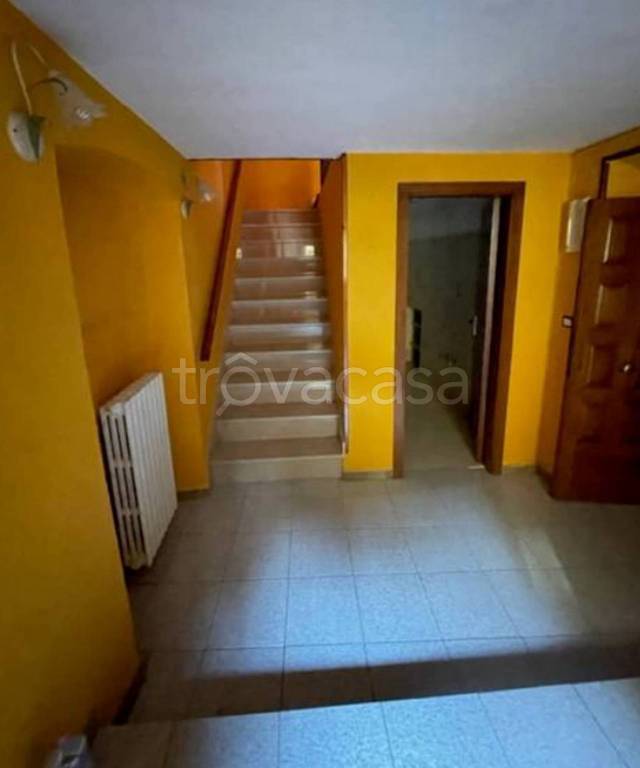 immagine annuncio 9 di 14