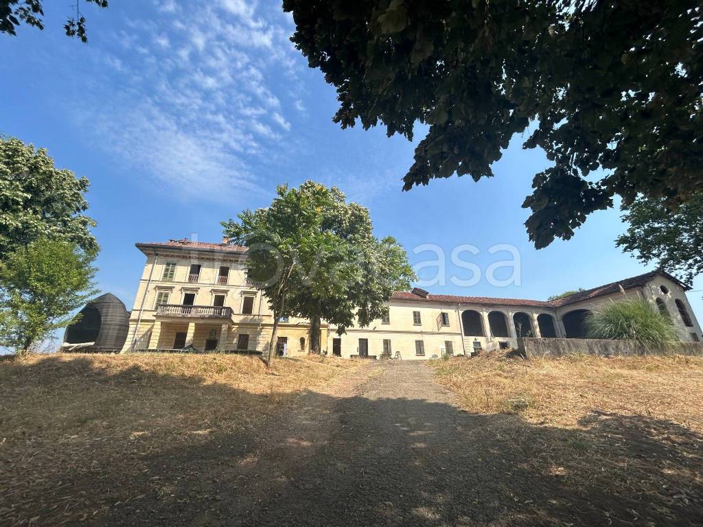 immagine annuncio 9 di 15