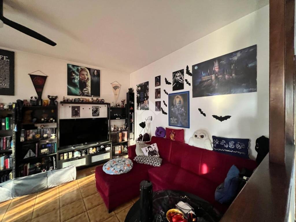 immagine annuncio 11 di 15