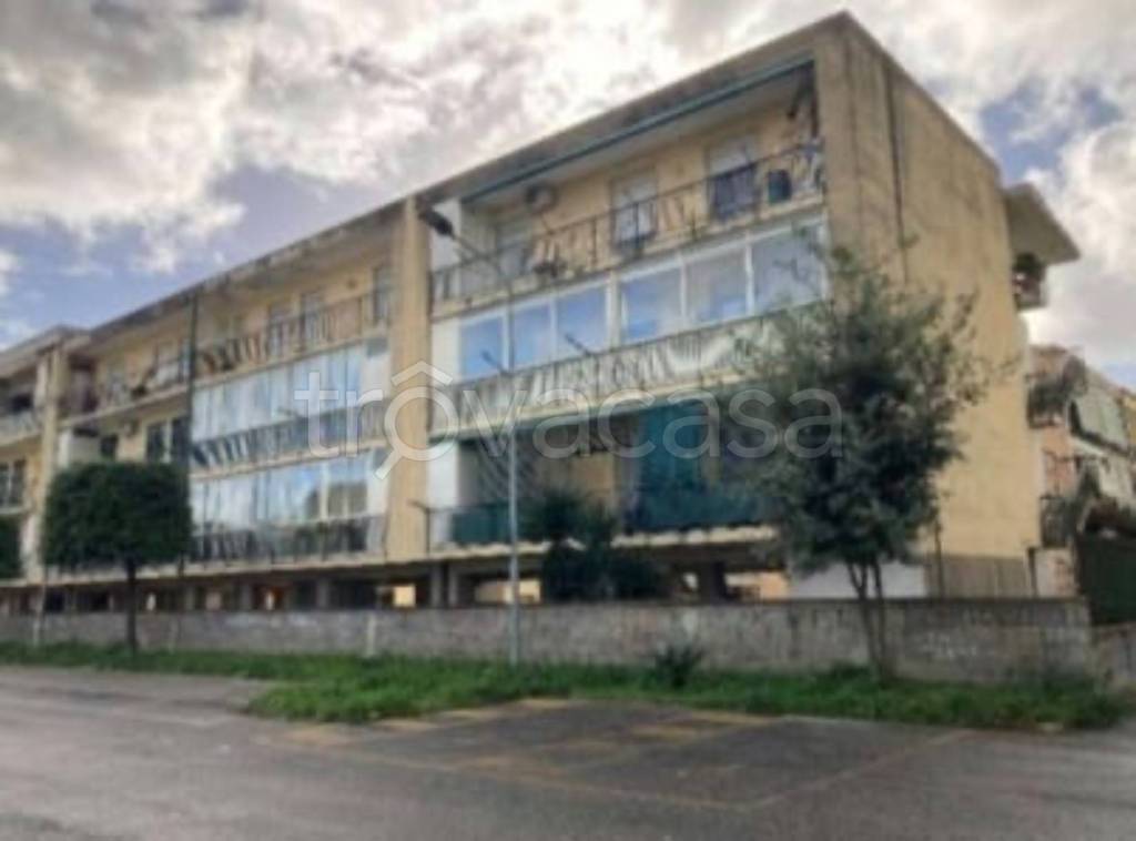 immagine annuncio 9 di 11
