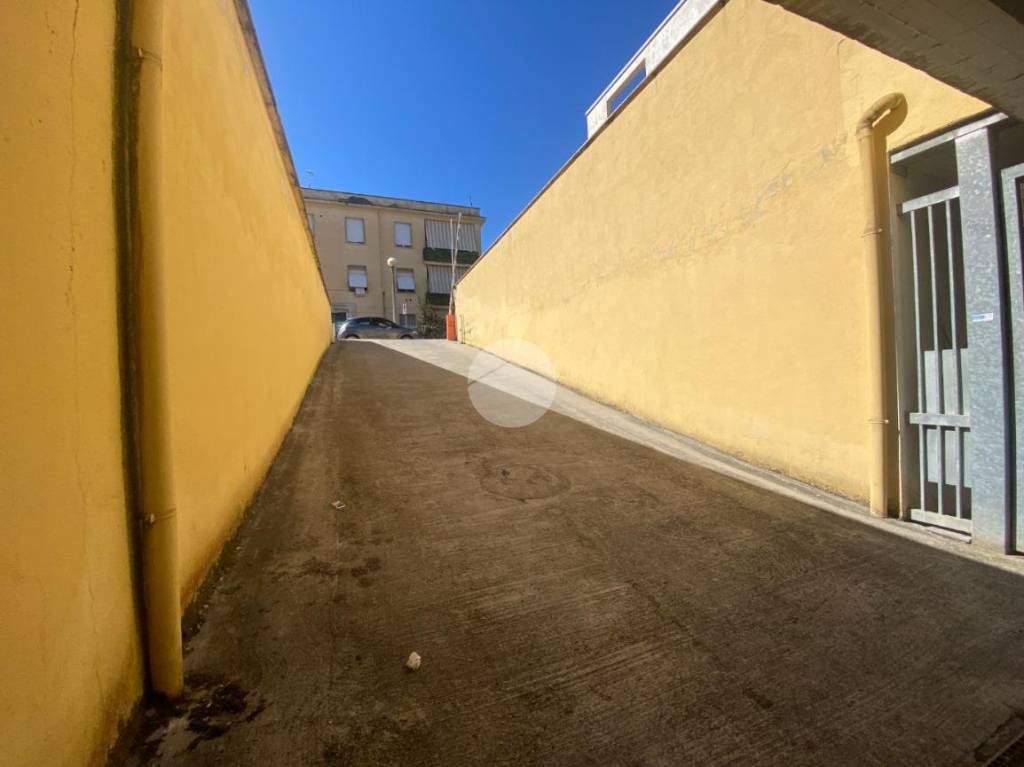 immagine annuncio 2 di 12